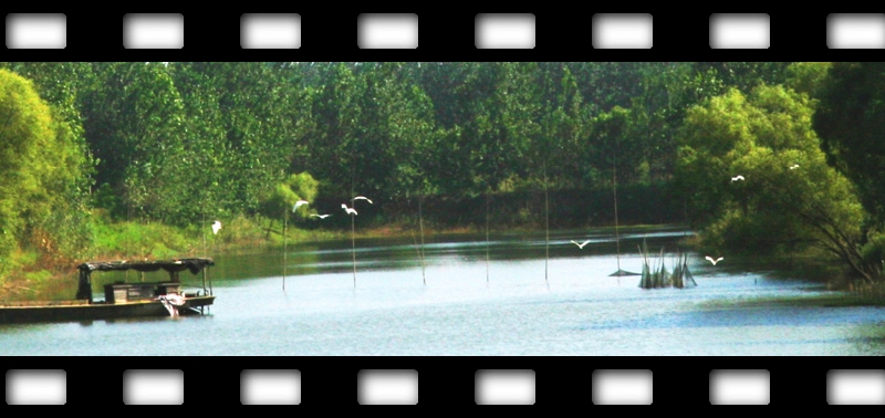 ���������������޷羰��